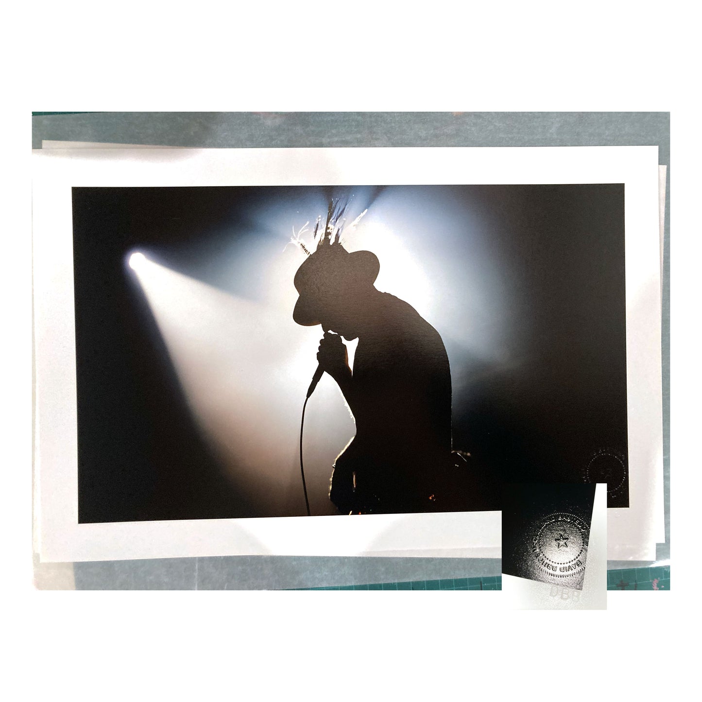 Gord Downie - Kingston Silhouette